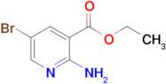 Ethyl 2-amino-5-bromonicotinate