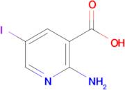 2-Amino-5-iodonicotinic acid