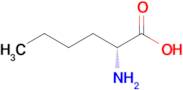 (R)-2-Aminohexanoic acid