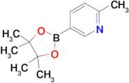 2-Methyl-5-(4,4,5,5-tetramethyl-1,3,2-dioxaborolan-2-yl)pyridine