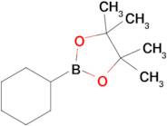 2-Cyclohexyl-4,4,5,5-tetramethyl-1,3,2-dioxaborolane