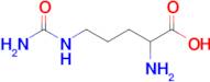 2-Amino-5-ureidopentanoic acid