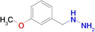 (3-Methoxybenzyl)hydrazine