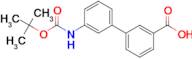 3'-((tert-Butoxycarbonyl)amino)-[1,1'-biphenyl]-3-carboxylic acid