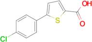 5-(4-Chlorophenyl)thiophene-2-carboxylic acid