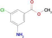 Methyl 3-amino-5-chlorobenzoate