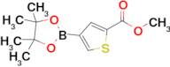 Methyl 4-(4,4,5,5-tetramethyl-1,3,2-dioxaborolan-2-yl)thiophene-2-carboxylate