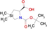 (R)-1-(tert-Butoxycarbonyl)-3,3-dimethyl-1,3-azasilolidine-5-carboxylic acid