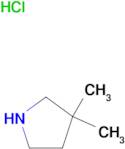 3,3-Dimethylpyrrolidine hydrochloride
