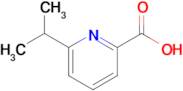 6-Isopropylpicolinic acid