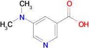 5-(Dimethylamino)nicotinic acid