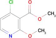 Methyl 4-chloro-2-methoxynicotinate