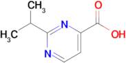 2-Isopropylpyrimidine-4-carboxylic acid