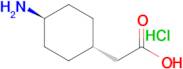 trans-2-(4-Aminocyclohexyl)acetic acid hydrochloride