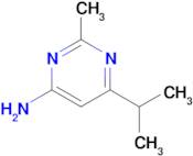 6-Isopropyl-2-methylpyrimidin-4-amine