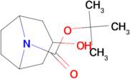 tert-Butyl 3-hydroxy-8-azabicyclo[3.2.1]octane-8-carboxylate