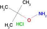 O-(tert-Butyl)hydroxylamine hydrochloride