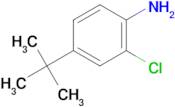 4-(tert-Butyl)-2-chloroaniline