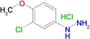 (3-Chloro-4-methoxyphenyl)hydrazine hydrochloride