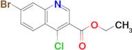 Ethyl 7-bromo-4-chloroquinoline-3-carboxylate