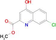 Methyl 7-chloro-4-hydroxyquinoline-2-carboxylate