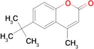 6-(tert-Butyl)-4-methyl-2H-chromen-2-one