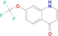 7-(Trifluoromethoxy)quinolin-4-ol