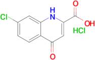 7-Chloro-4-hydroxyquinoline-2-carboxylic acid hydrochloride