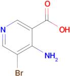 4-Amino-5-bromonicotinic acid