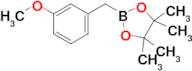 2-(3-Methoxybenzyl)-4,4,5,5-tetramethyl-1,3,2-dioxaborolane