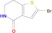 2-Bromo-6,7-dihydrothieno[3,2-c]pyridin-4(5H)-one