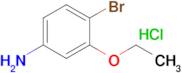 4-Bromo-3-ethoxyaniline hydrochloride