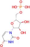 5'-Uridylic acid