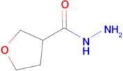 Tetrahydrofuran-3-carbohydrazide