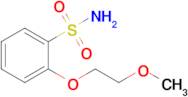 2-(2-Methoxyethoxy)benzenesulfonamide