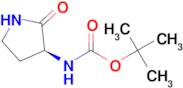 (S)-tert-Butyl (2-oxopyrrolidin-3-yl)carbamate
