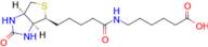 6-(5-((3aS,4S,6aR)-2-Oxohexahydro-1H-thieno[3,4-d]imidazol-4-yl)pentanamido)hexanoic acid