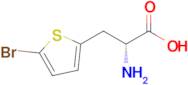 (R)-2-Amino-3-(5-bromothiophen-2-yl)propanoic acid