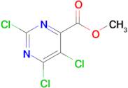 Methyl 2,5,6-trichloropyrimidine-4-carboxylate