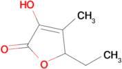 5-Ethyl-3-hydroxy-4-methylfuran-2(5H)-one