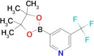 3-(4,4,5,5-Tetramethyl-1,3,2-dioxaborolan-2-yl)-5-(trifluoromethyl)pyridine