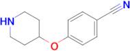 4-(Piperidin-4-yloxy)benzonitrile