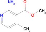 Methyl 2-amino-4-methylnicotinate