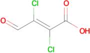 2,3-Dichloro-4-oxobut-2-enoic acid