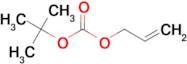 Allyl tert-butyl carbonate