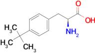 (S)-2-Amino-3-(4-(tert-butyl)phenyl)propanoic acid