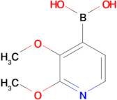 (2,3-Dimethoxypyridin-4-yl)boronic acid