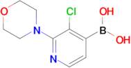 (3-Chloro-2-morpholinopyridin-4-yl)boronic acid