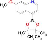 7-Methoxy-4-(4,4,5,5-tetramethyl-1,3,2-dioxaborolan-2-yl)quinoline