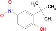 2-(tert-Butyl)-4-nitrophenol